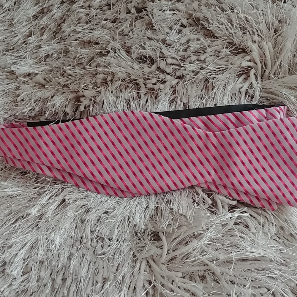 Gorgeous silk bowtie